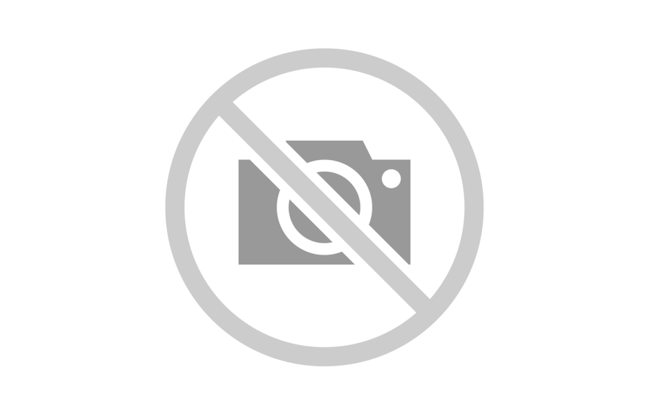 AXMAN ENTERPRISE CO., LTD.